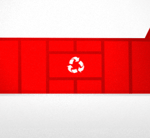 30yd³ Skip (RoRo)